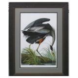 GREAT BLUE HERON BY JOHN J. AUDUBON