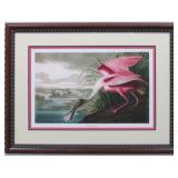 ROSETTE SPOONBILL BY JOHN J. AUDUBON