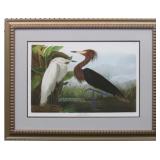 PURPLE HERON BY JOHN J. AUDUBON