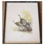 Framed Print - 13 x 17