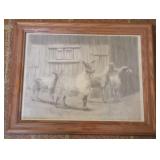 Framed Print - 16 x 13