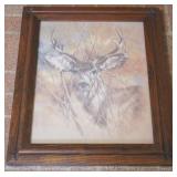 Framed Deer Print - 20 x 24