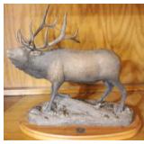 National Wild Turkey Federation Statue - 14 x 14