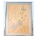 Wall Board of Chickory, printed in Switzerland