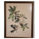 Framed Mocking Birds Print