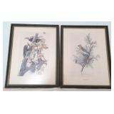 Pair of Bird Prints Framed