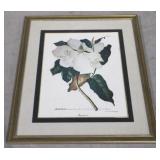 Magnolia Framed Print - 29" x 34.5"