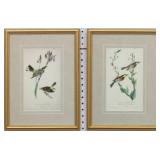 SET 2 ANTIQUE BIRDS BY JOHN J. AUDUBON