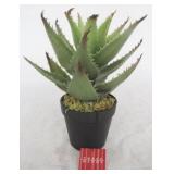 Three Hands Faux Cactus