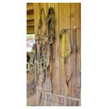 Horse Bridles, Reins & More