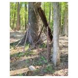 Farm Machinery & Implements