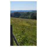 Property/Land - View from Log Cabin Road