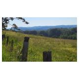 Property/Land - View from Log Cabin Road