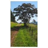 Property/Land - View from Log Cabin Road