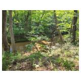 Property/Land - Down by Creek