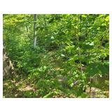 Property/Land - Down by Creek