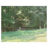 Property/Land - Down by Creek