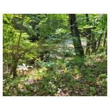 Property/Land - Down by Creek