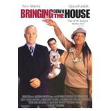Bringing Down the House (2003) Movie Poster
