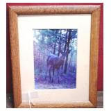 Framed Print - 10 x 12