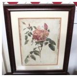 Framed Print - 19 x 24