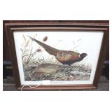 Framed Print - 13 x 16