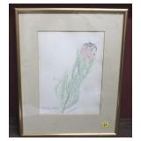 Framed Print - 14 x 19