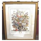 Framed Print - - 20 x 26