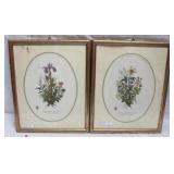 Pair Framed Prints - 10 x 12