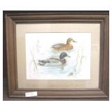 Framed Print - 23 x 19