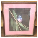 Framed print, 19.5 x 17