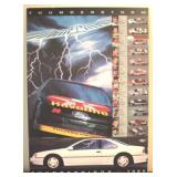 1992 Thunderbird Print - 28 x 20