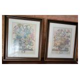 September & October framed prints