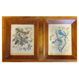 Pair of frames w/ prints of birds