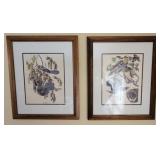 Pair Blue Jay & Wood Duck framed prints