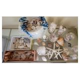 Large group of seashells & containers