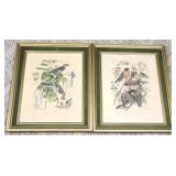 Pair Framed - 17 x 14