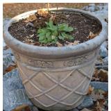 Plastic Planter 18 x 21