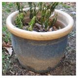 Pottery Planter 9 x 12 inches