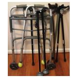 Walkers and Canes
