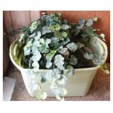 Plastic Tote Assorted Items