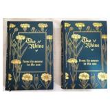 The Rhine from its source to the sea, 2 volumes