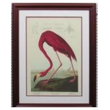 AMERICAN FLAMINGO BY JOHN AUDUBON