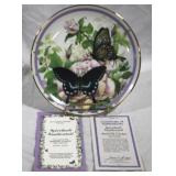 Hamilton "Spicebush Swallowtail" w/ COA