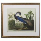 LOUISIANA HERON BY JOHN J AUDUBON