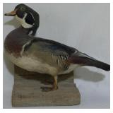 Taxidermy Mallard 12x12x8