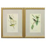 2 ANTIQUE BIRDS BY JOHN J AUDUBON
