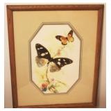 Framed Print - 17" x 22"