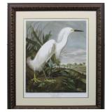 SNOWY HERON BY JOHN J. AUDUBON