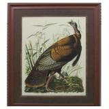 WILD TURKEY BY JOHN J. AUDUBON